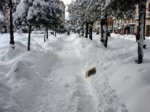 Nevicata di febbraio, niente aiuti dall’Unione Europea